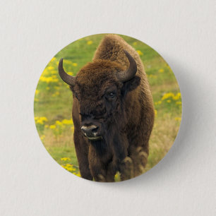 Badge Rond 5 Cm Insigne Bison Button