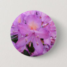 Insigne de fleur de rhododendron