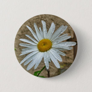 Badge Rond 5 Cm Insigne de fleurs de Leucanthemum