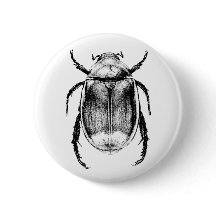 Insigne de scarabée