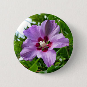 Badge Rond 5 Cm Insigne Hibiscus