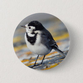 Badge Rond 5 Cm Insigne pie de hochequeue