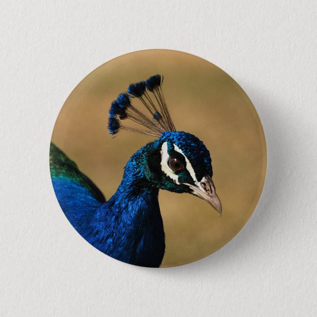 Badge Rond 5 Cm Insignes et boutons personnalisables de paon (Devant)