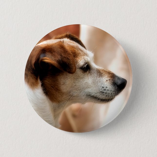 BADGE ROND 5 CM JACK RUSSELL TERRIER CHIEN (Devant)