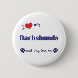 Badge Rond 5 Cm J'aime mes teckels (beaucoup de chiens)
