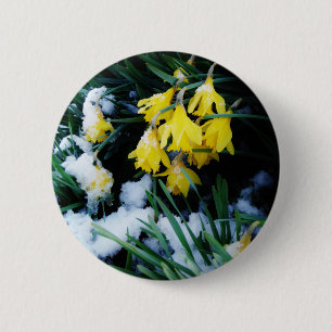 Badge Rond 5 Cm Jaune Daffodils fleurs dans la neige