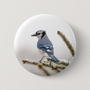 Badge Rond 5 Cm Jay bleu en hiver