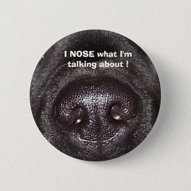 BADGE ROND 5 CM , JE REPRENDS CE DONT JE PARLE ! (Devant)
