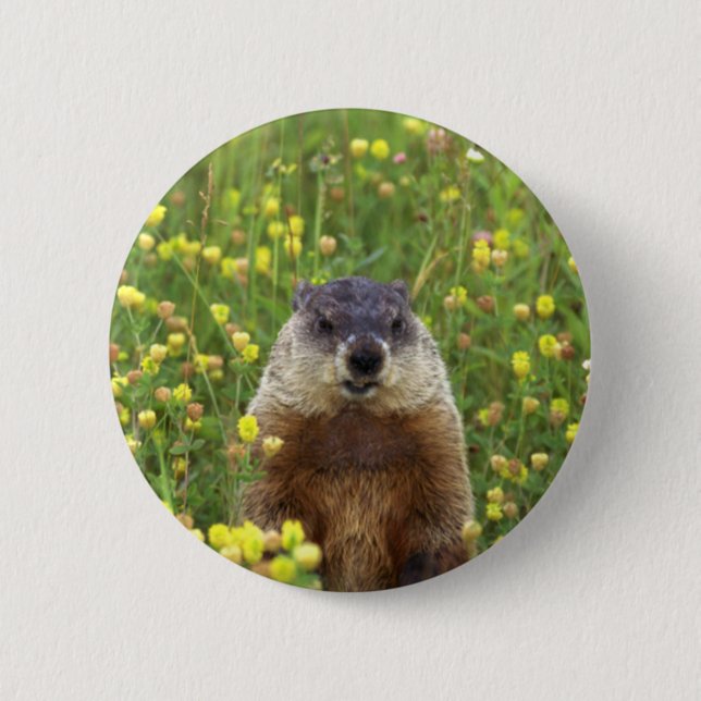 Badge Rond 5 Cm Je suis Groundhog (Devant)