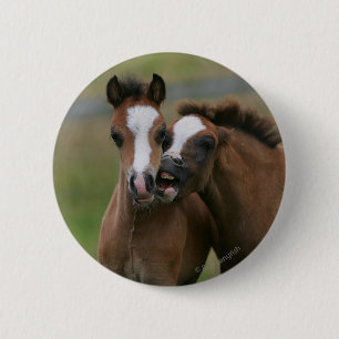 Badge Rond 5 Cm Jeu de poulains