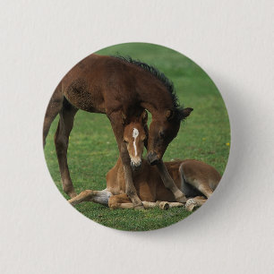 Badge Rond 5 Cm Jeu de poulains de Morgan