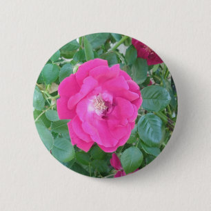Badge Rond 5 Cm Joli En Fleur Rose