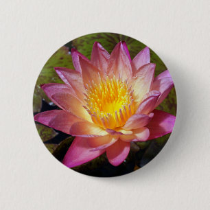 Badge Rond 5 Cm Jolie Lily D'Eau Rose