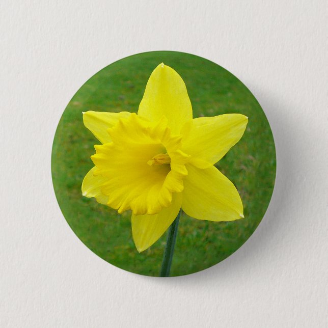 Badge Rond 5 Cm Jonquille de Gallois (Devant)