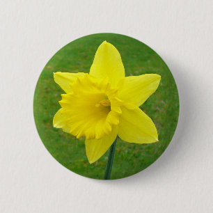 Badge Rond 5 Cm Jonquille de Gallois