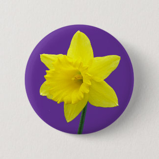 Badge Rond 5 Cm Jonquille de Gallois - II