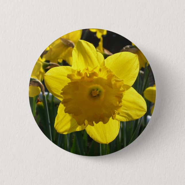 Badge Rond 5 Cm Jonquille ensoleillée (Devant)