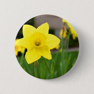 Badge Rond 5 Cm Jonquille jaune de Plaisir-Ressort