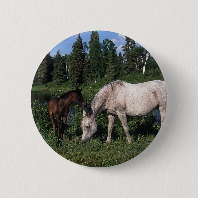 Badge Rond 5 Cm Jument et poulain arabes 2 (Devant)