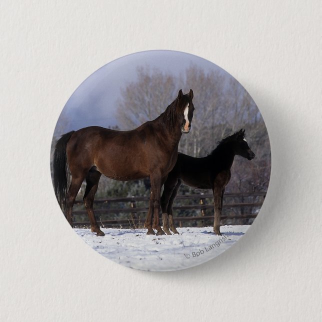 Badge Rond 5 Cm Jument et poulain arabes dans la neige (Devant)
