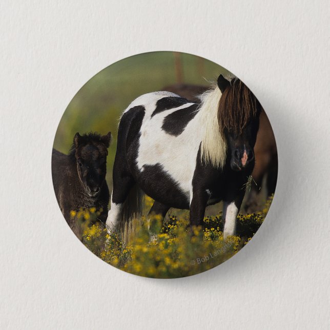 Badge Rond 5 Cm Jument et poulain miniatures en fleurs (Devant)