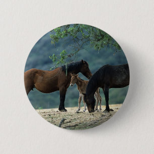 Badge Rond 5 Cm Jument et poulain sauvages de mustang