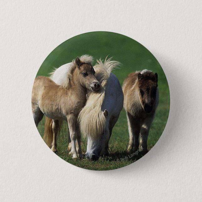 Badge Rond 5 Cm Jument et poulains miniatures 1 (Devant)