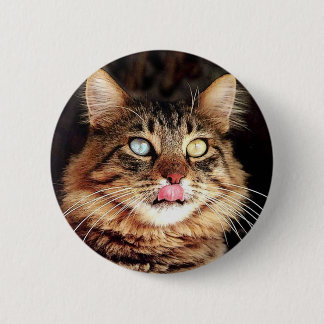 Badge Rond 5 Cm katz