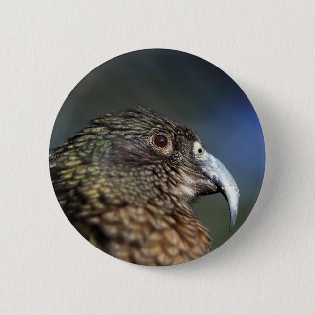 Badge Rond 5 Cm Kea néo-zélandais, perroquet alpin (Devant)