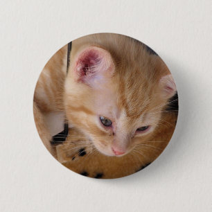 BADGE ROND 5 CM KITTY