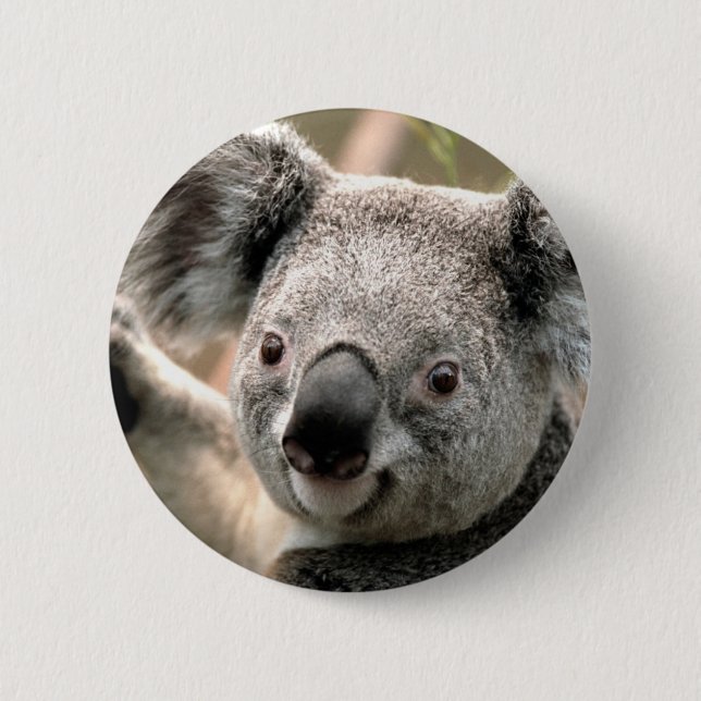 Badge Rond 5 Cm Koala (Devant)