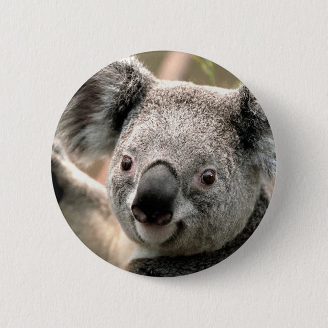 Badge Rond 5 Cm Koala (Devant)