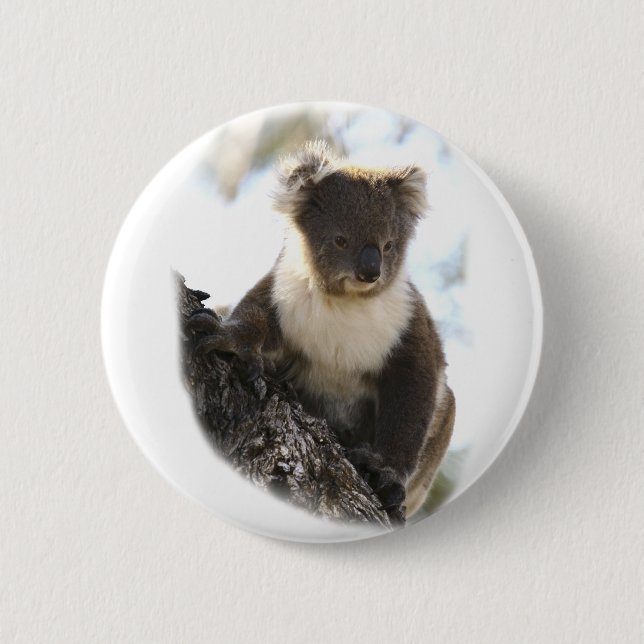 Badge Rond 5 Cm Koala 2 (Devant)