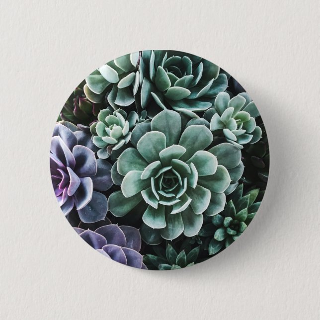 Badge Rond 5 Cm La nature Plante verte Succulente (Devant)