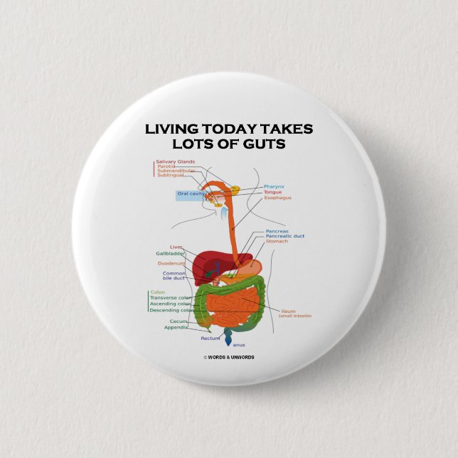 Badge Rond 5 Cm La vie aujourd'hui prend un bon nombre (Devant)