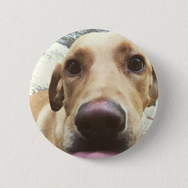 Badge Rond 5 Cm Laboratoire d'or (Devant)