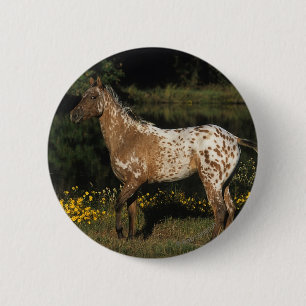 Badge Rond 5 Cm Lac se tenant prêt horse d'Appaloosa