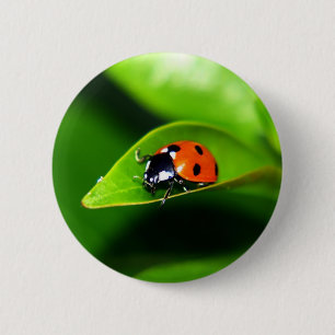 Badge Rond 5 Cm Ladybug