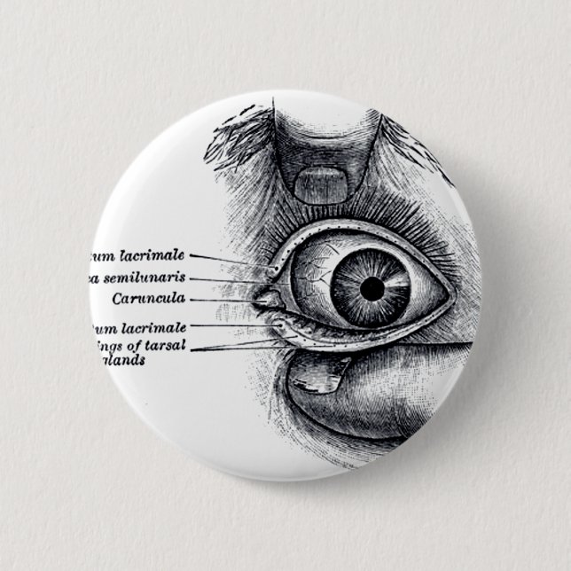 Badge Rond 5 Cm L'anatomie du gris - globe oculaire (Devant)