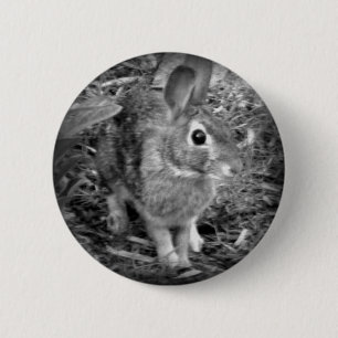 Badge Rond 5 Cm Lapin de Peter