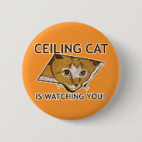 Le chat de plafond vous observe !