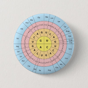Badge Rond 5 Cm Le Code génétique