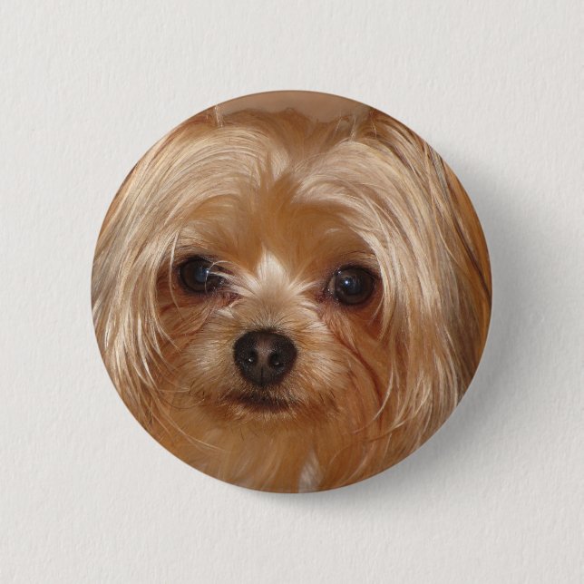 Badge Rond 5 Cm Le fond de Yorkie (Devant)