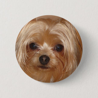 Badge Rond 5 Cm Le fond de Yorkie