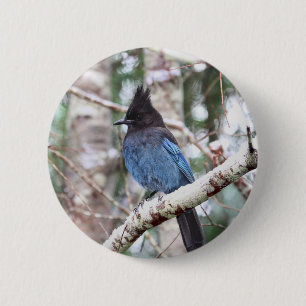 Badge Rond 5 Cm Le geai de Steller