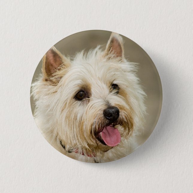 Badge Rond 5 Cm Le gingembre sourit goupille (Devant)