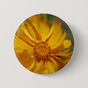 Badge Rond 5 Cm Le joli Coreopsis fleurit le bouton