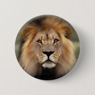 Badge Rond 5 Cm Le lion
