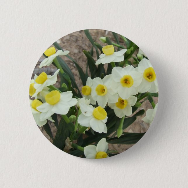 Badge Rond 5 Cm Le narcisse blanc fleurit le bouton (Devant)