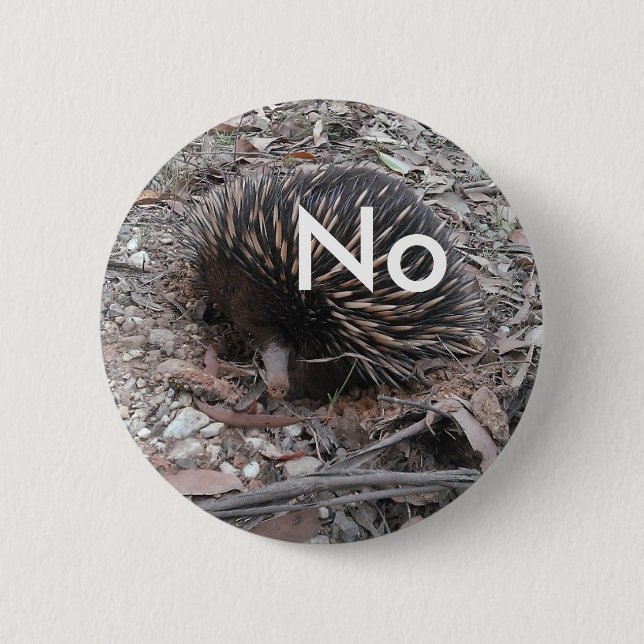 Badge Rond 5 Cm Le porc-épic indique : Non (Devant)